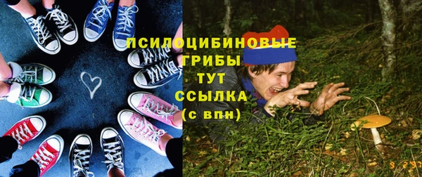 spice Верхний Тагил