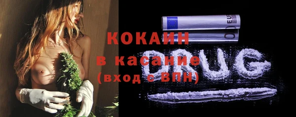 дживик Володарск