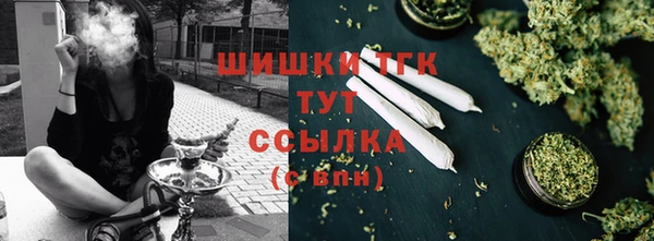дживик Володарск
