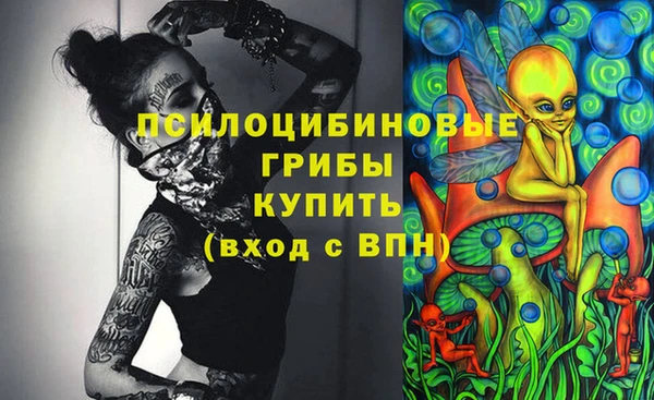 2c-b Волосово